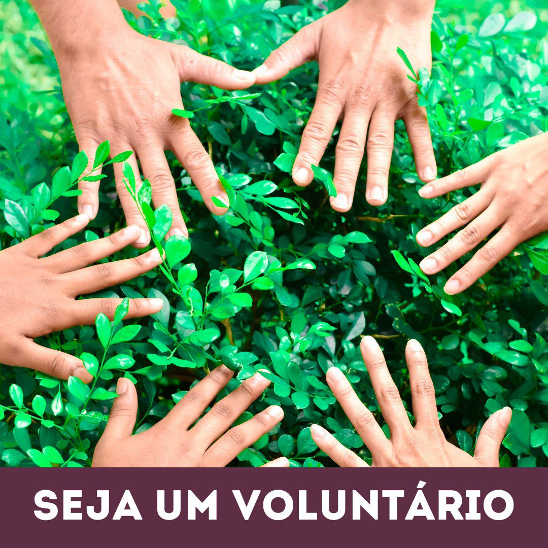 Clique para entrar em contato!